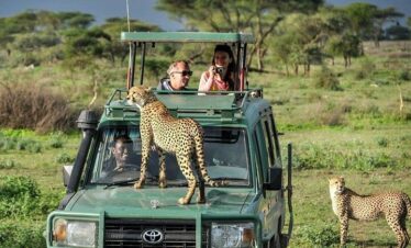 Kenya Wildlife Photography Safari with Big Five Game Drives and Custom 3 Person Vehicles