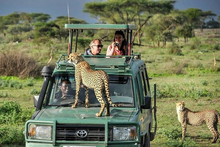 Kenya Wildlife Photography Safari with Big Five Game Drives and Custom 3 Person Vehicles