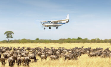 Luxury 3 day fly in Serengeti safari from Arusha with game drives 1