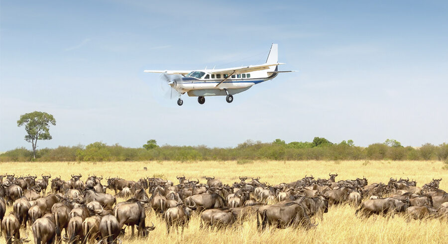Luxury 3 day fly in Serengeti safari from Arusha with game drives 1