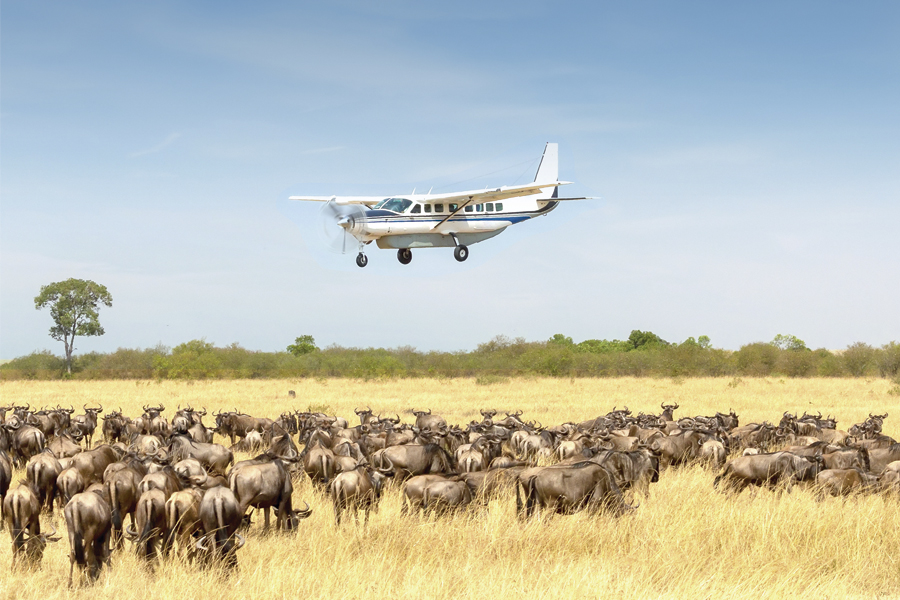 Luxury 3 day fly in Serengeti safari from Arusha with game drives 1