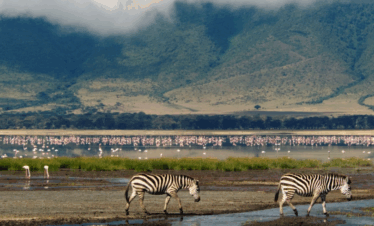Ngorongoro Crater Tour – 3 Days from Arusha