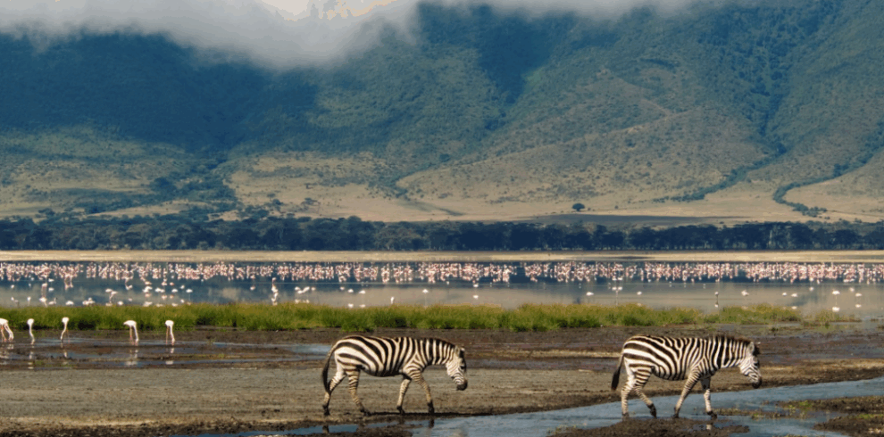 Ngorongoro Crater Tour – 3 Days from Arusha