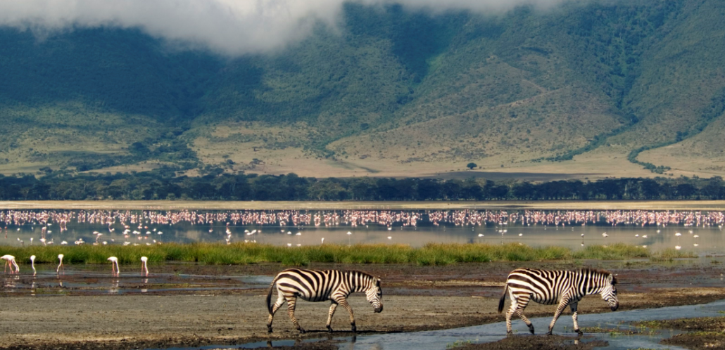 Ngorongoro Crater Tour – 3 Days from Arusha