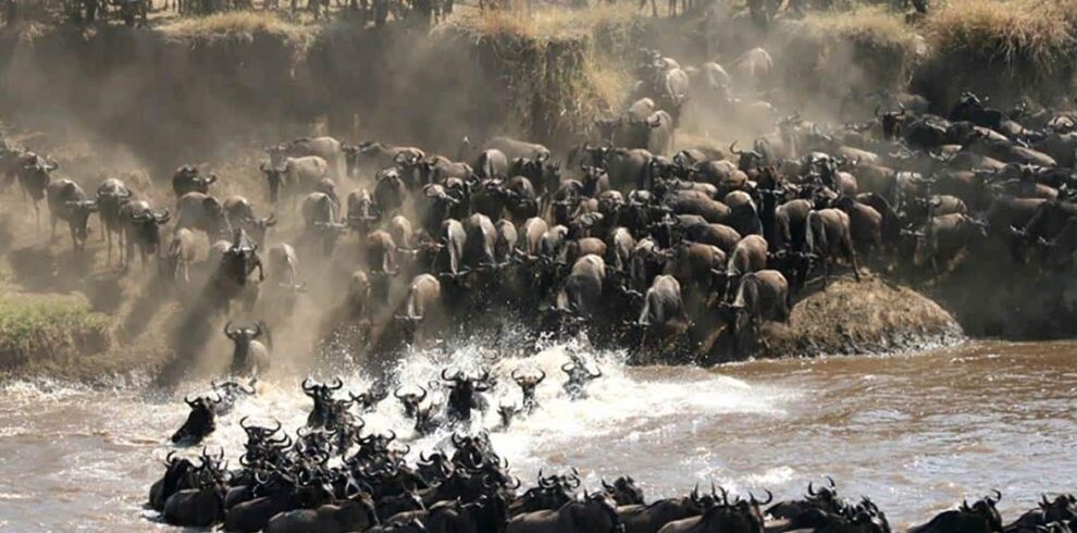 Tanzania 14 day wildebeest migration and wildlife safari itinerary