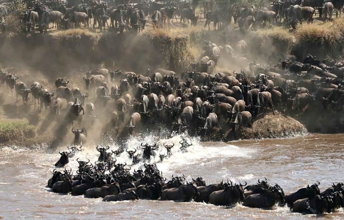Tanzania 14 day wildebeest migration and wildlife safari itinerary