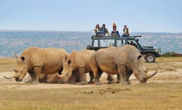 luxury wildlife safari in Kenya including Masai Mara and Ol Pejeta