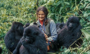 3 day Dian Fossey Gorilla Safari from Kigali with Volcanoes National Park gorilla trekking