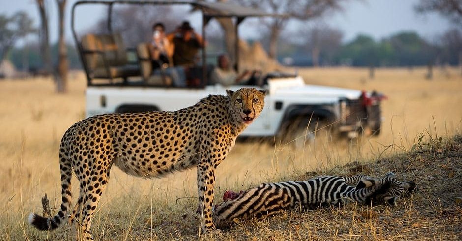 5 Days Victoria Falls & Hwange National Parks Safari
