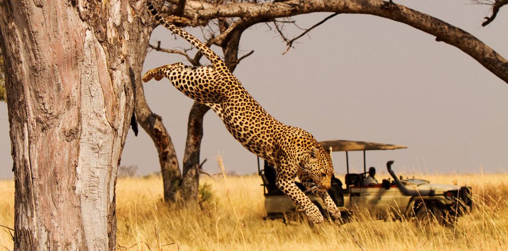 Akagera national park Rwanda National Park Rwanda Safaris