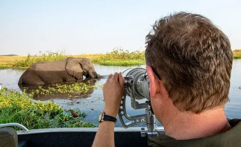 Best of Kenya Bird & Wildlife Photography Safari