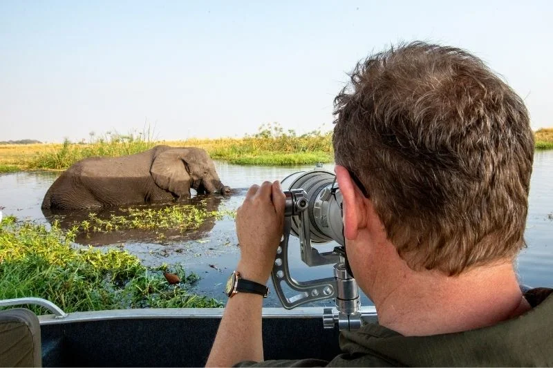Best of Kenya Bird & Wildlife Photography Safari