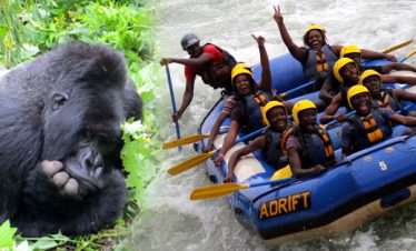 Days Uganda Safari with Gorilla Trekking and Rafting Wildlife safari Nile River, Jinja