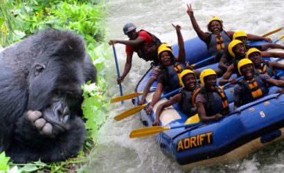 Days Uganda Safari with Gorilla Trekking and Rafting Wildlife safari Nile River, Jinja