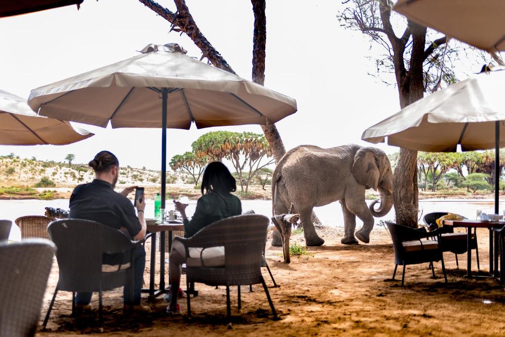 Elephant Bedroom Camp Samburu, Archers Post (updated prices 2025)