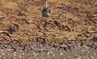 Flamingos & Volcanoes Great Rift Valley Helicopter Safari