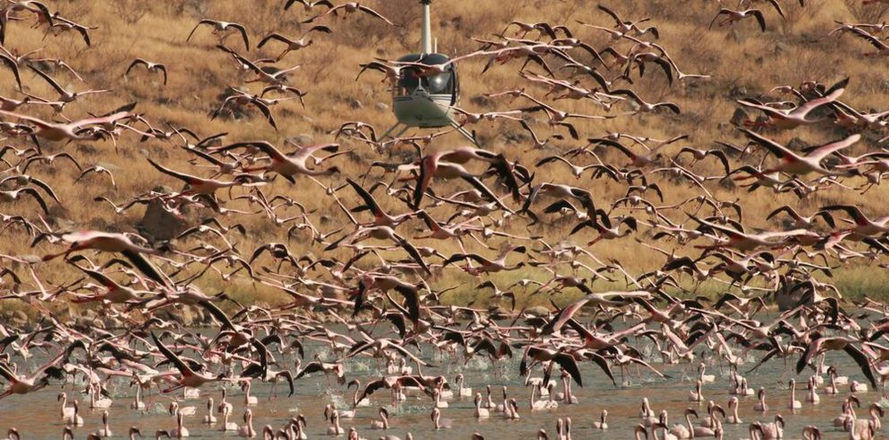 Flamingos & Volcanoes Great Rift Valley Helicopter Safari