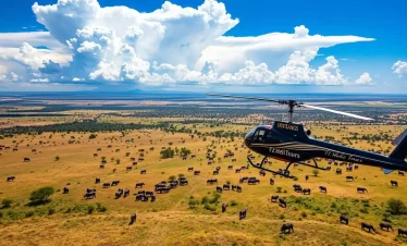 Helicopter Tour in Masai Mara Kenya The Great Migration Helicopter Safari