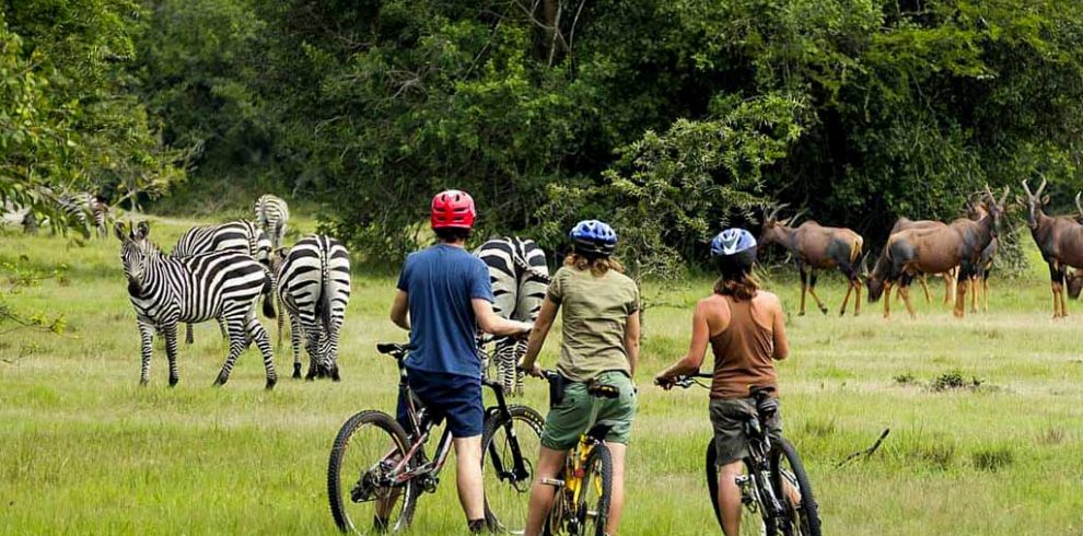 Lake Mburo National Park Uganda Wildlife Safaris Uganda Tours