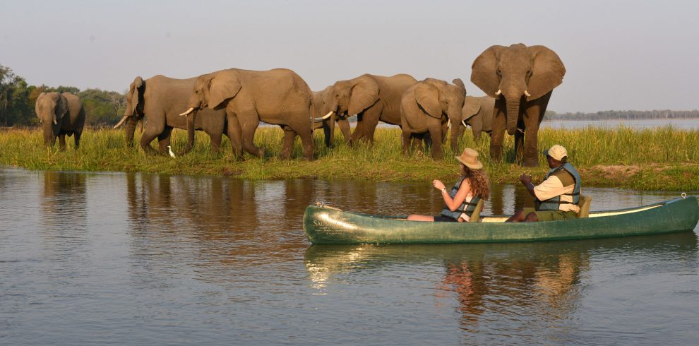 Luxury Zambia safari with walking safaris and Victoria Falls tour