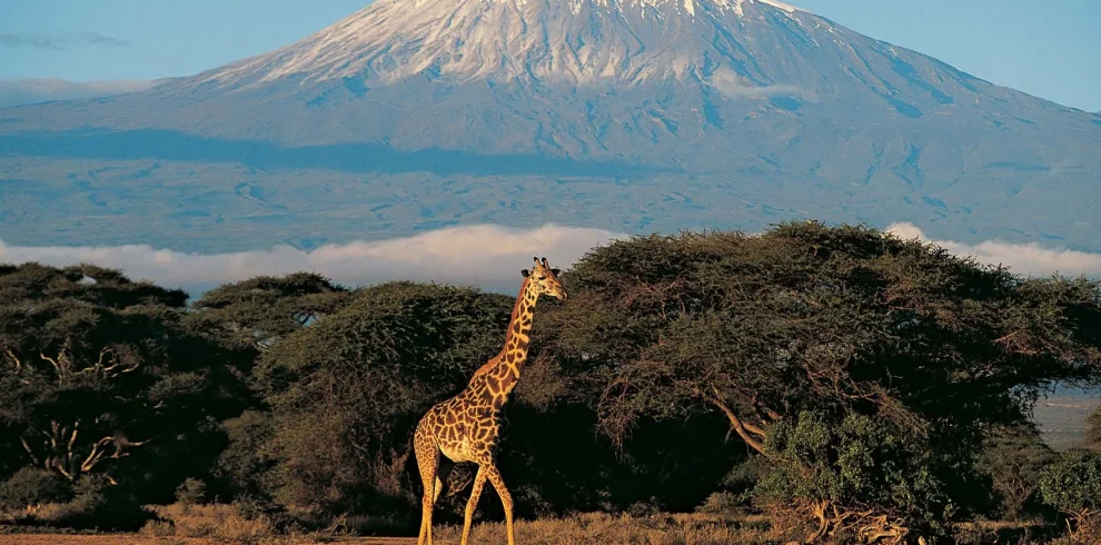 Mount Kilimanjaro Tanzania safari tours by nomad touring company