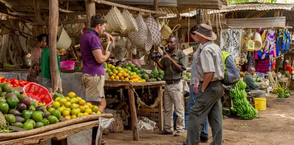 Mto wa Mbu Village safari walk