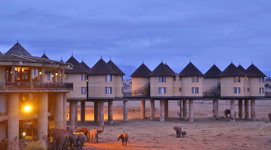 SALT LICK SAFARI LODGE Updated 2025 Prices & Hotel Reviews Kenya Tsavo National Park West