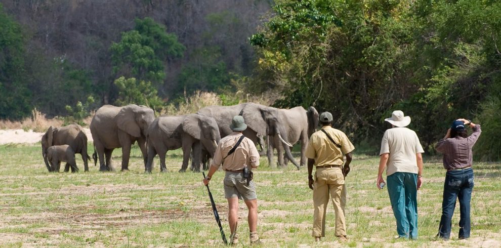 Selous Game Reserve Tours & Camps Tanzania