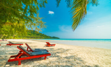 Tanzania Safari and Zanzibar Beach Epic Wildlife Safaris