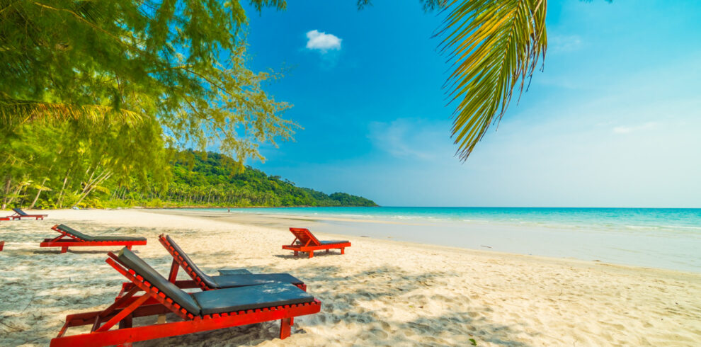 Tanzania Safari and Zanzibar Beach Epic Wildlife Safaris
