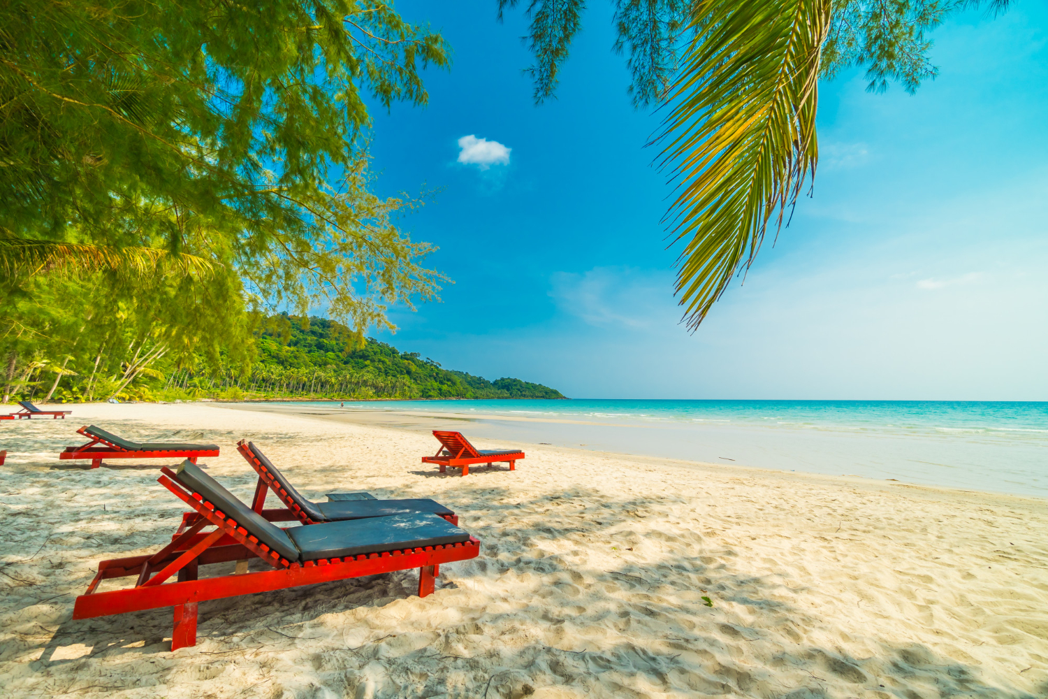 Tanzania Safari and Zanzibar Beach Epic Wildlife Safaris