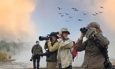 Tanzania birdwatching safari for serious birders and naturalists