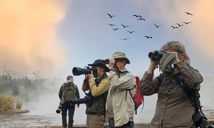 Tanzania birdwatching safari for serious birders and naturalists