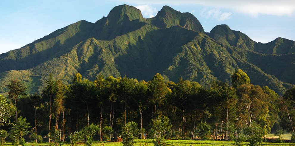 Virunga Mountains in Rwanda Rwanda Safari Tours