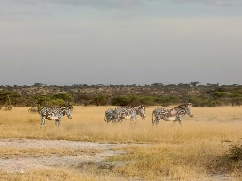 Trusted Safari Operator Nairobi