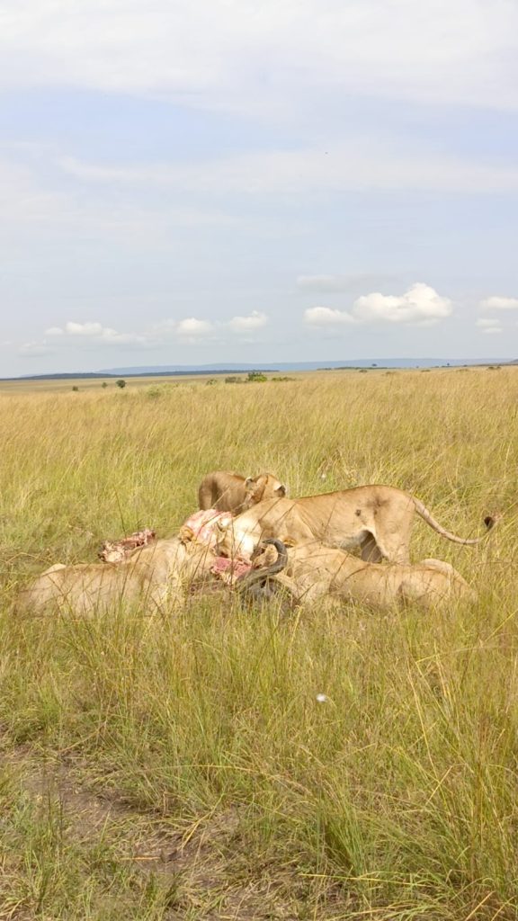 Rwanda’s Finest Safari Camps, Lodges & Resorts