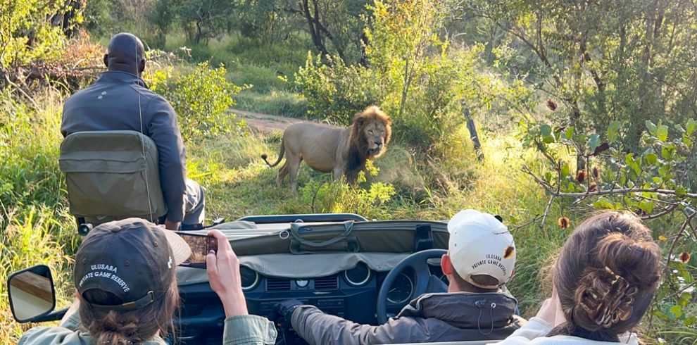 private South Africa tours Sabi Sand Reserve safari 23