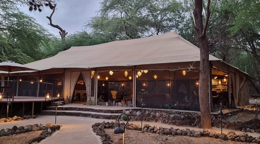soroi larsens camp