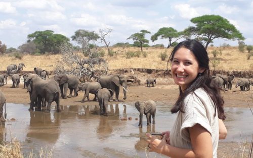 Exceptional Wildlife Safaris in Tanzania, AFRICA Wild Tanzania Safaris