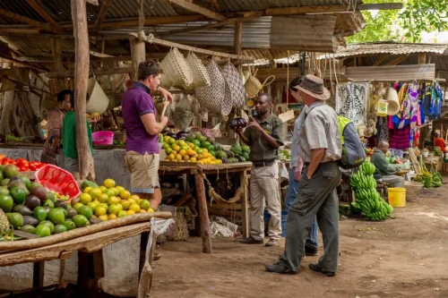 Mto wa Mbu Village safari walk